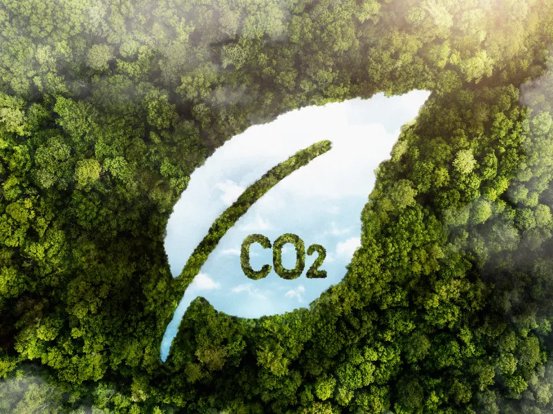 中小企業的減碳入門磚：看懂ISO 14064-1組織碳盤查與系統化導入